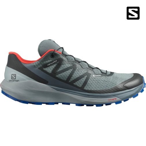 Salomon Sense Ride 4 GTX Invisible Fit Trailove Bezecke Tenisky Panske Siva | SK 8YQMTZ